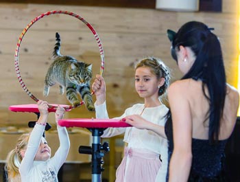 Видеосъемка дня рождения Видеосъемка дня рождения